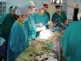 Обучающий курс: эндоскопическая хирургия геморрагического инсульта, Тюмень, 2019 год